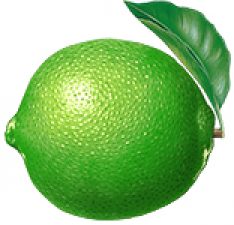 Fruit_Lime_Whole